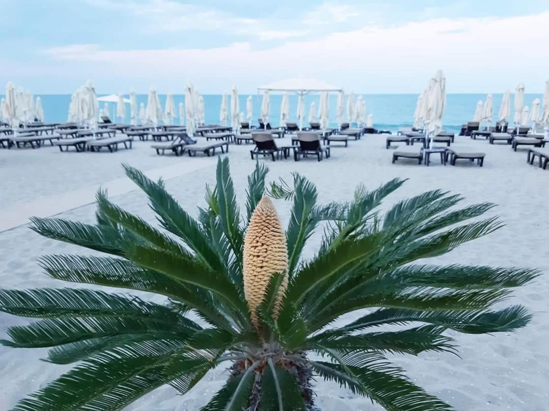 Apartment Raya Obzor Kültér fotó